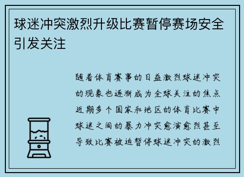 球迷冲突激烈升级比赛暂停赛场安全引发关注