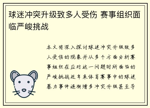 球迷冲突升级致多人受伤 赛事组织面临严峻挑战